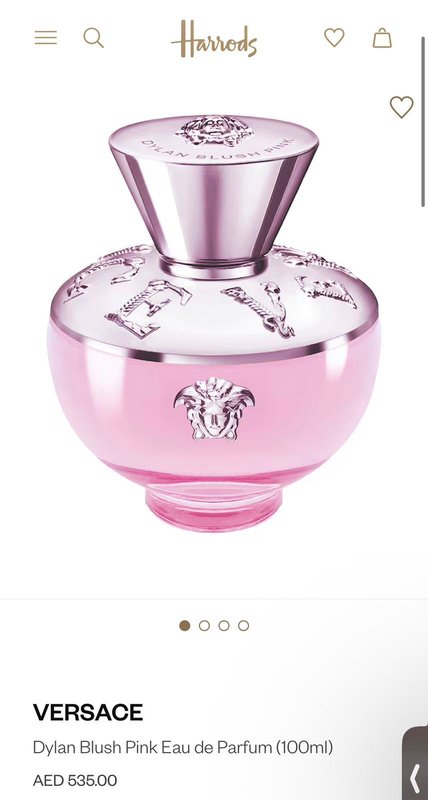 Versace Dylan Blush Pink (100)