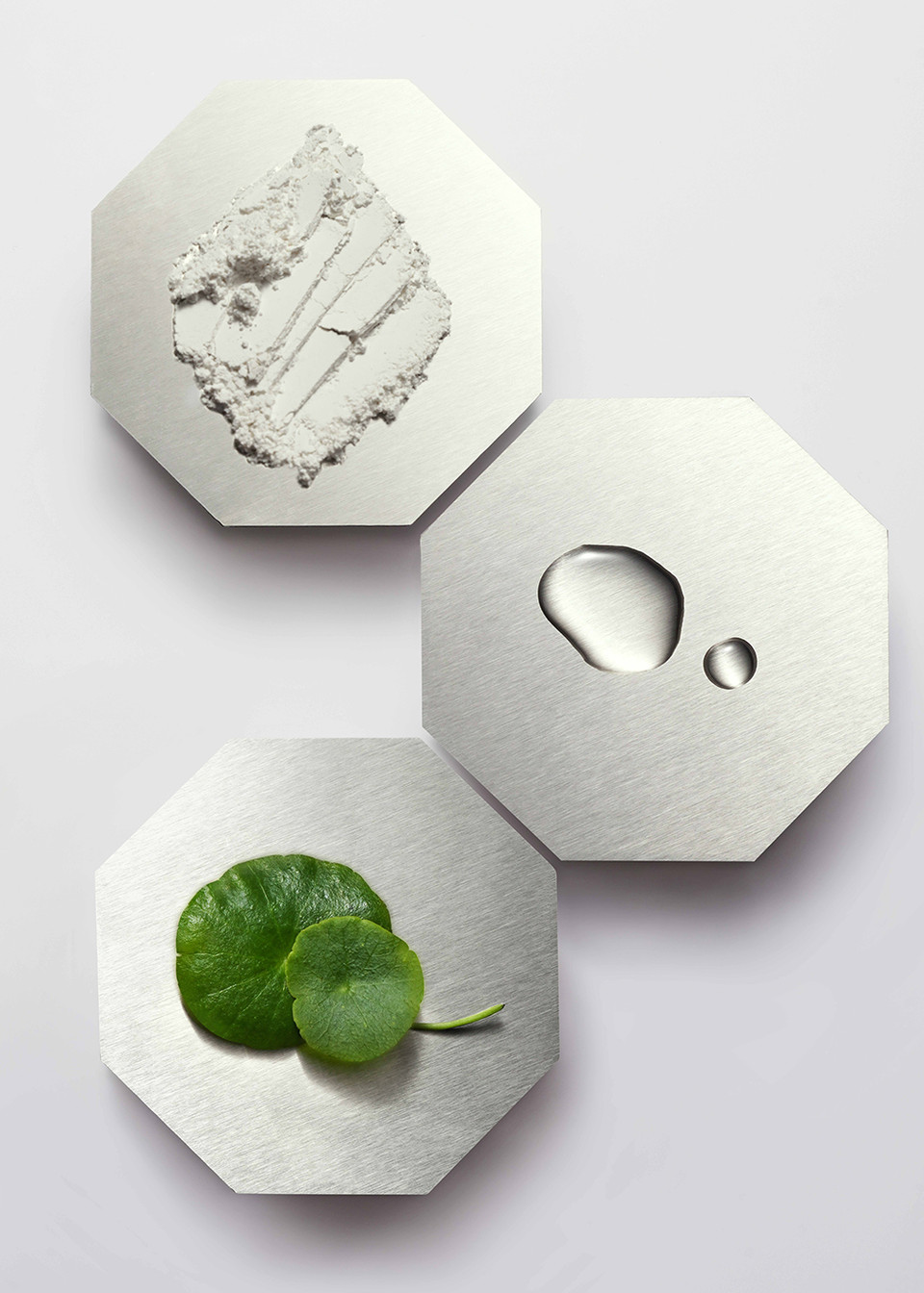 Noble Panacea The Exceptional Overnight Chronobiology Peel